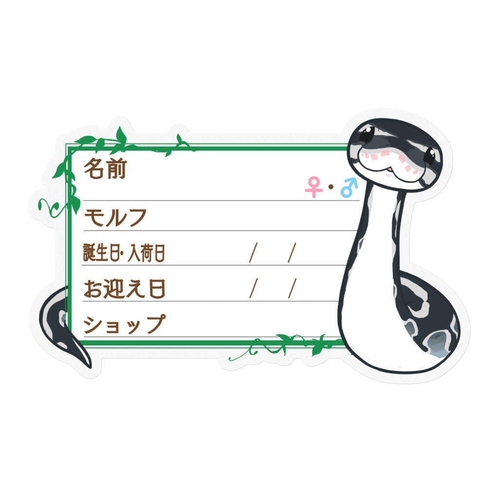 【🐍お名前ステッカー】枠11種類 ボールパイソン(アザン)
