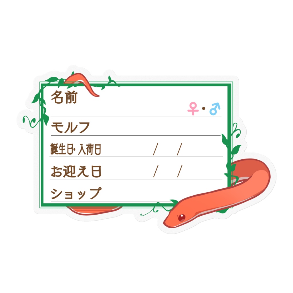 【🐍お名前ステッカー】枠11種類 コーンスネーク(ブラッドレッド)