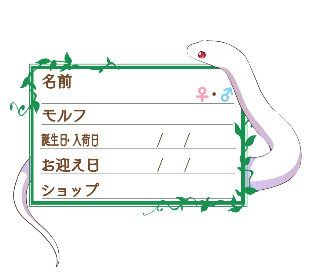 ダウンロード版【お名前ステッカー🐍】枠11種類セット メキブラ(アルビノ)