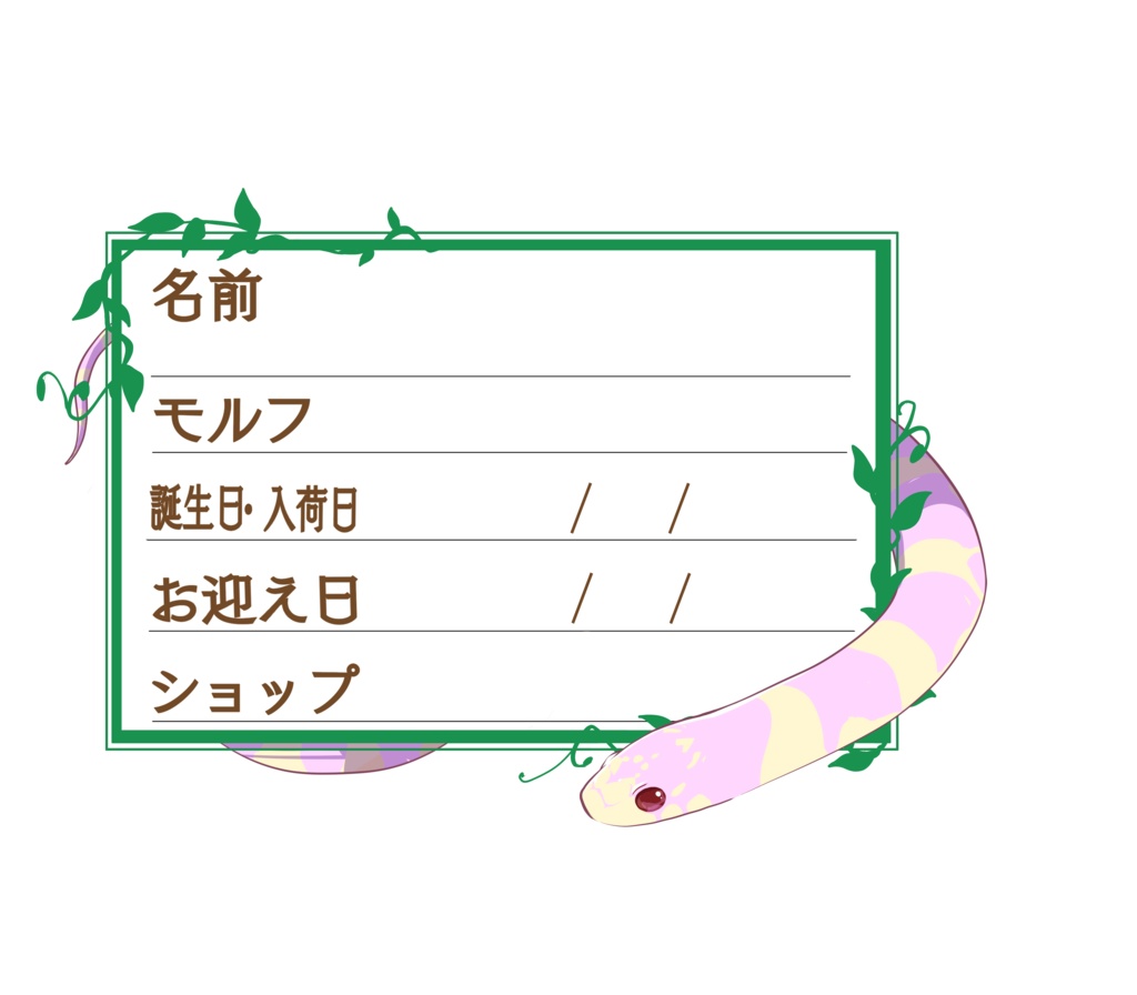 ダウンロード版【お名前ステッカー🐍】枠11種類セット カリキン(アルビノバンデッド)