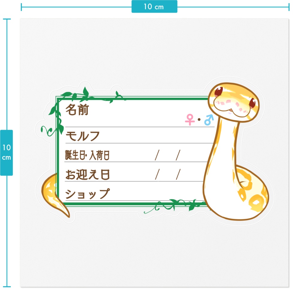 【🐍お名前ステッカー】枠11種類 ボールパイソン(アルビノ)