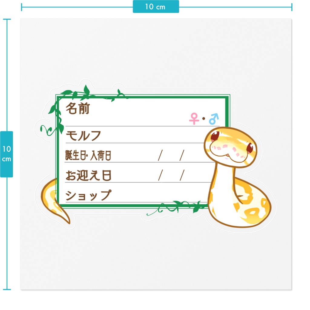 【🐍お名前ステッカー】枠11種類 ボールパイソン(アルビノミニ)
