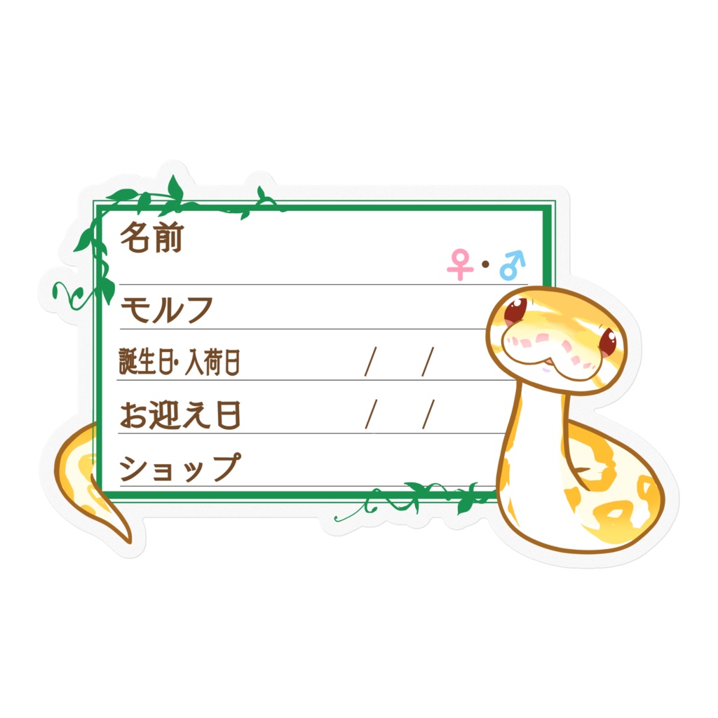 【🐍お名前ステッカー】枠11種類 ボールパイソン(アルビノミニ)