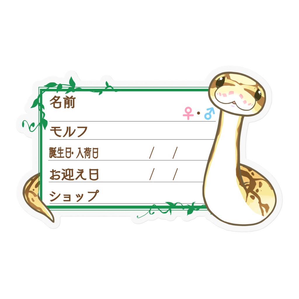 【🐍お名前ステッカー】枠11種類 ボールパイソン(クイーンビー)