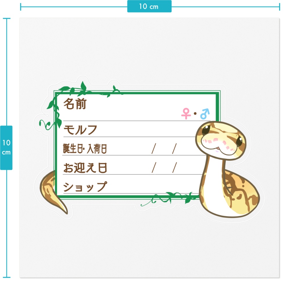 ใ๐ใๅๅในใใใซใผใๆ 11็จฎ้ก ใใผใซใใคใฝใณ(ใฏใคใผใณใใผใใ)