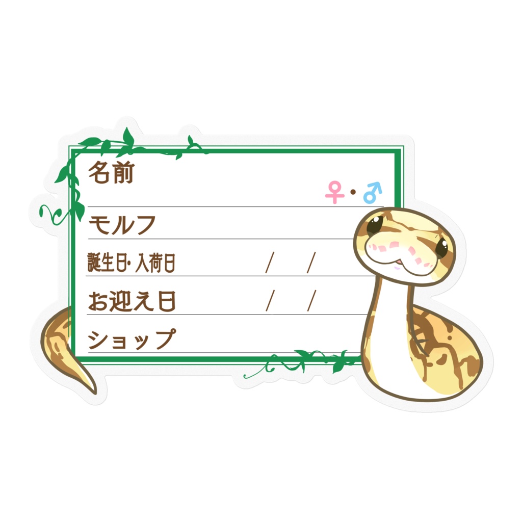 ใ๐ใๅๅในใใใซใผใๆ 11็จฎ้ก ใใผใซใใคใฝใณ(ใฏใคใผใณใใผใใ)