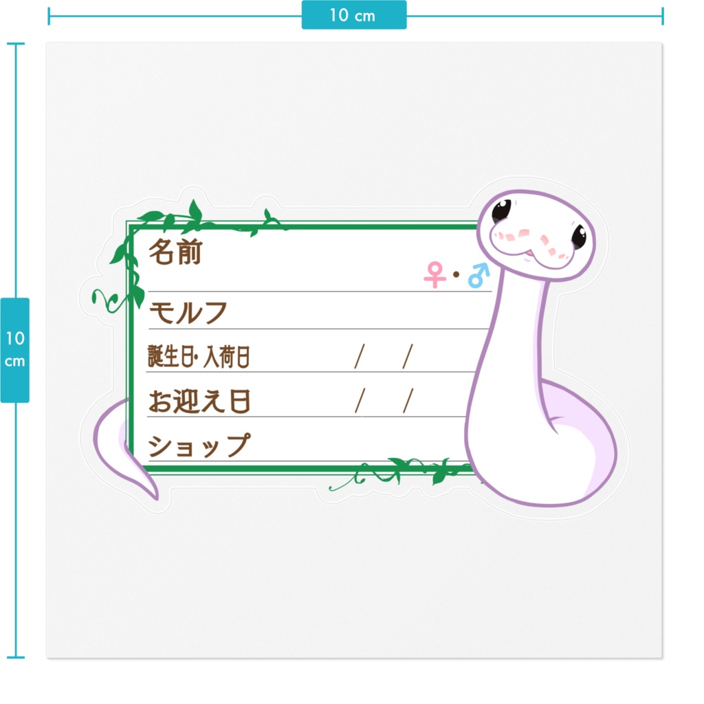 【🐍お名前ステッカー】枠11種類 ボールパイソン(スーパーファイア)