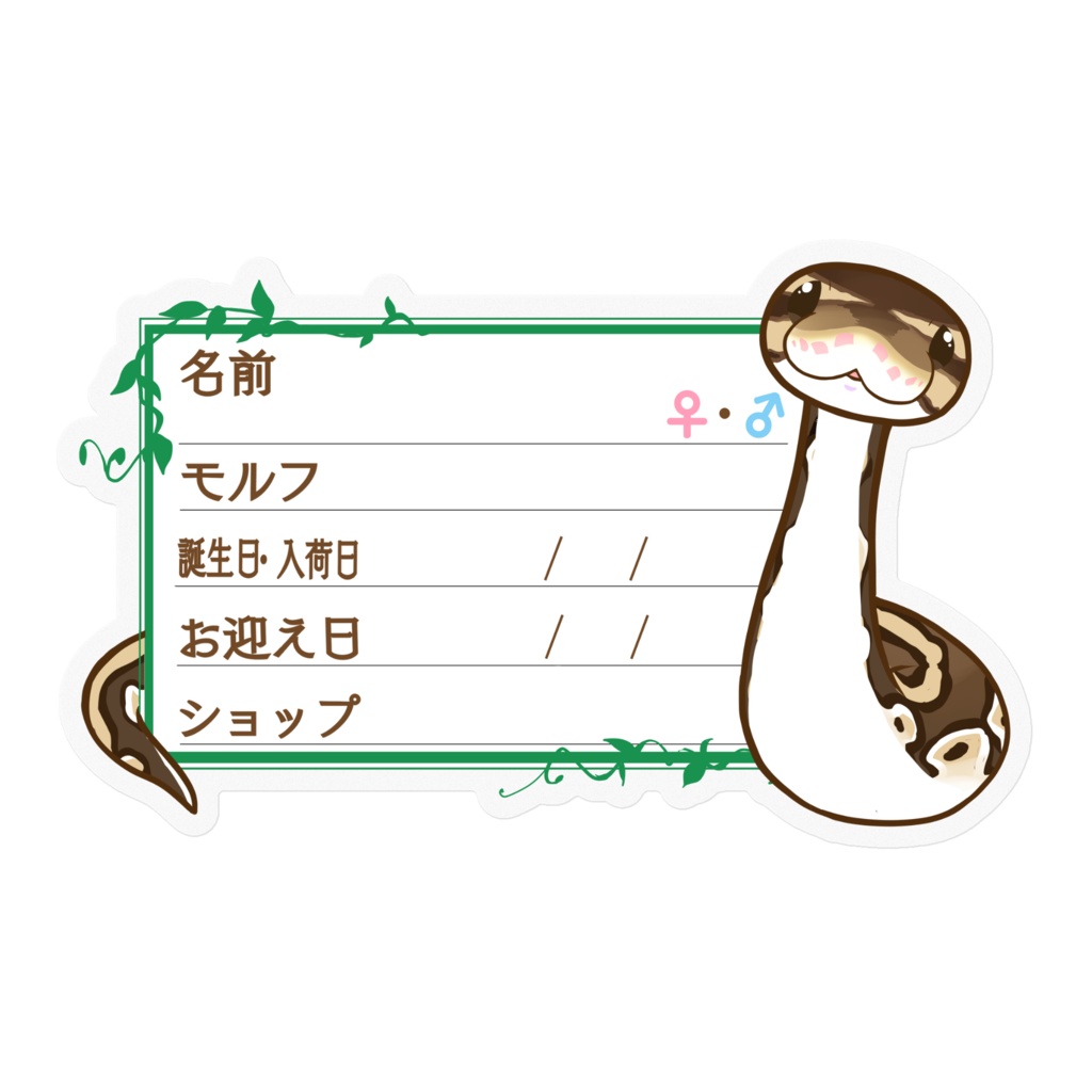 【🐍お名前ステッカー】枠11種類 ボールパイソン(ノーマル)