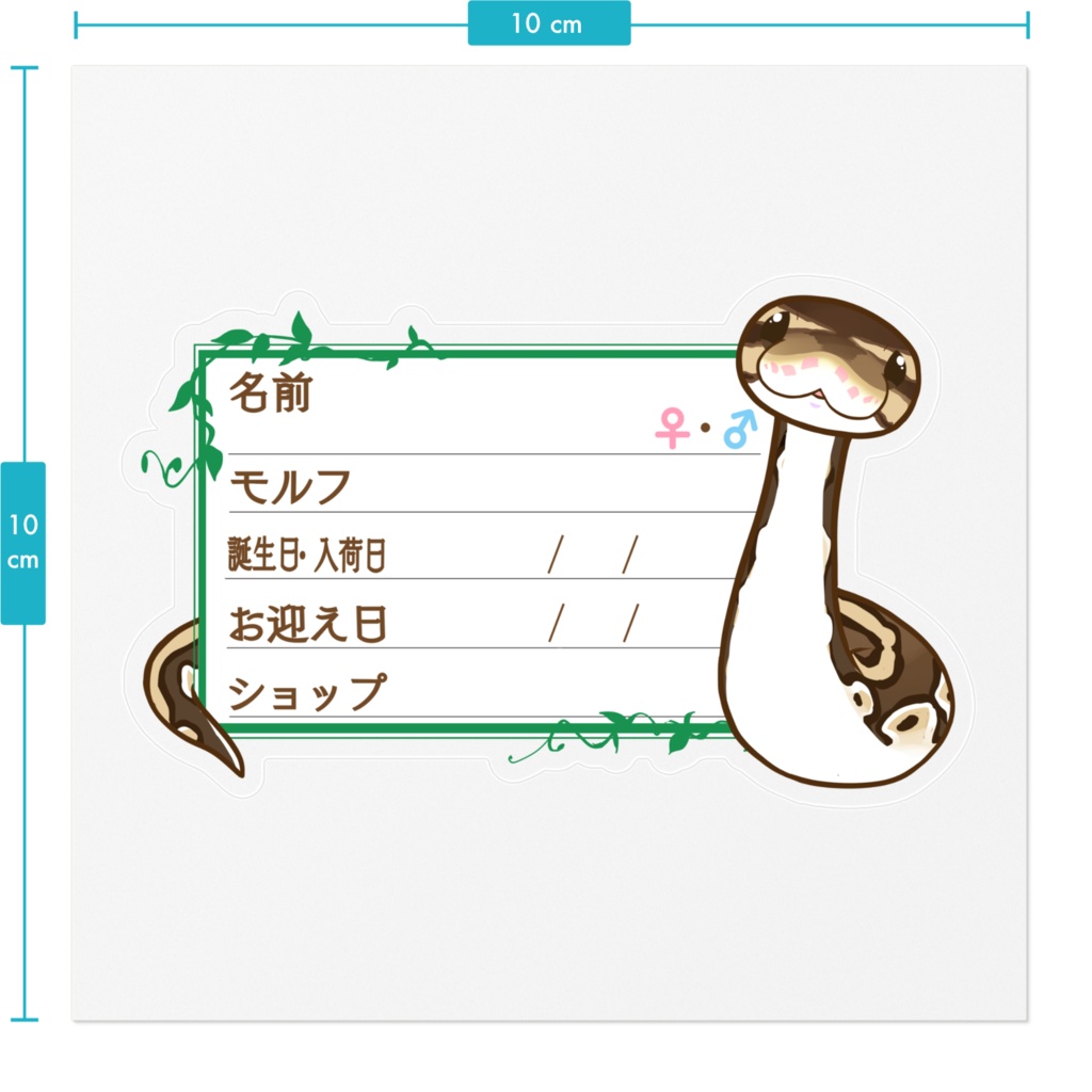 【🐍お名前ステッカー】枠11種類 ボールパイソン(ノーマル)