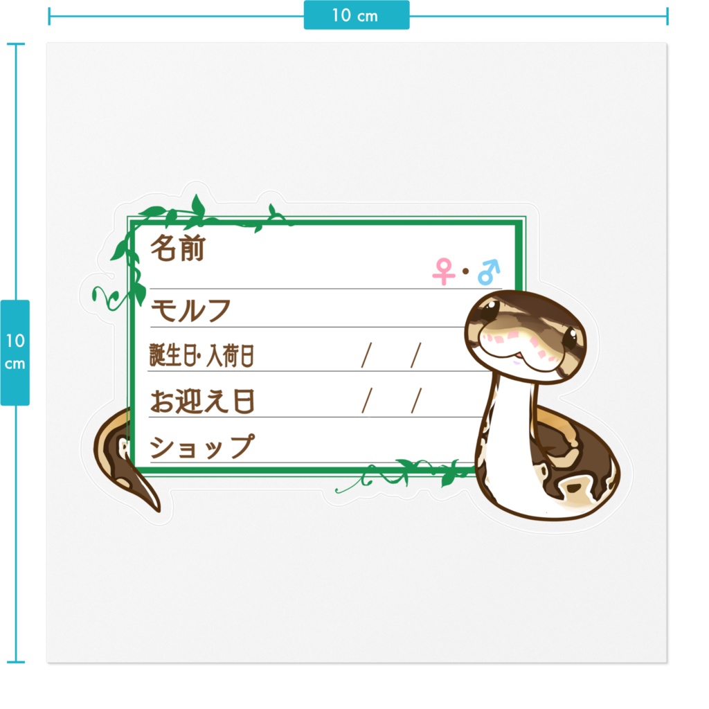 【🐍お名前ステッカー】枠11種類 ボールパイソン(ノーマルミニ)