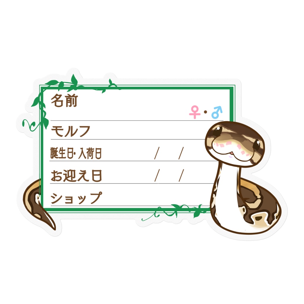 【🐍お名前ステッカー】枠11種類 ボールパイソン(ノーマルミニ)