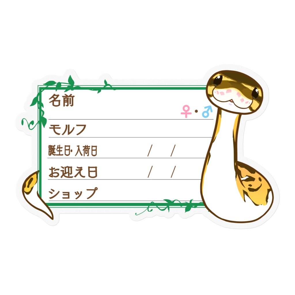 【🐍お名前ステッカー】枠11種類 ボールパイソン(パイボール)