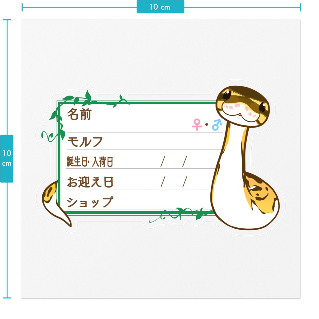 【🐍お名前ステッカー】枠11種類 ボールパイソン(パイボール)