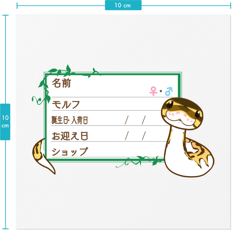 ใ๐ใๅๅในใใใซใผใๆ 11็จฎ้ก ใใผใซใใคใฝใณ(ใใคใใ)