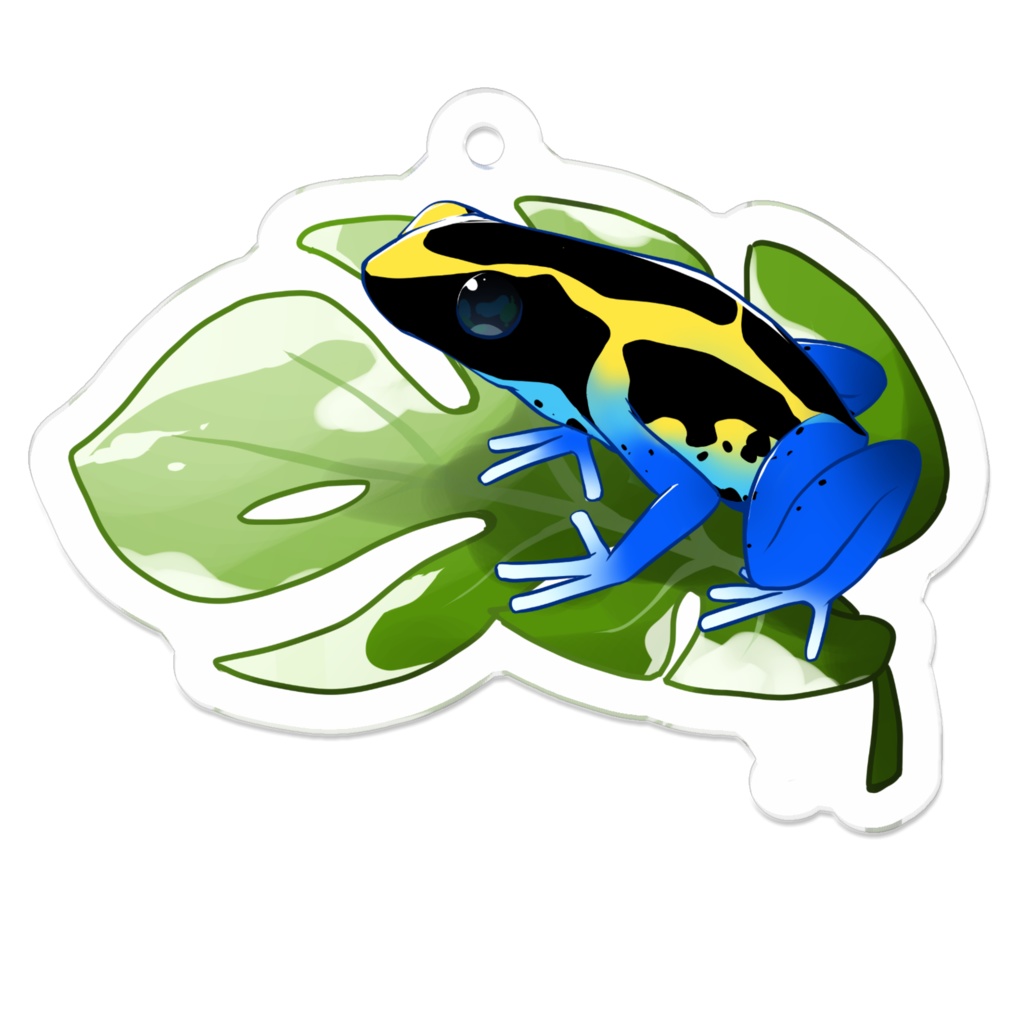 【ヤドクガエル🐸アクキー(Ａ)】(アイゾメ)