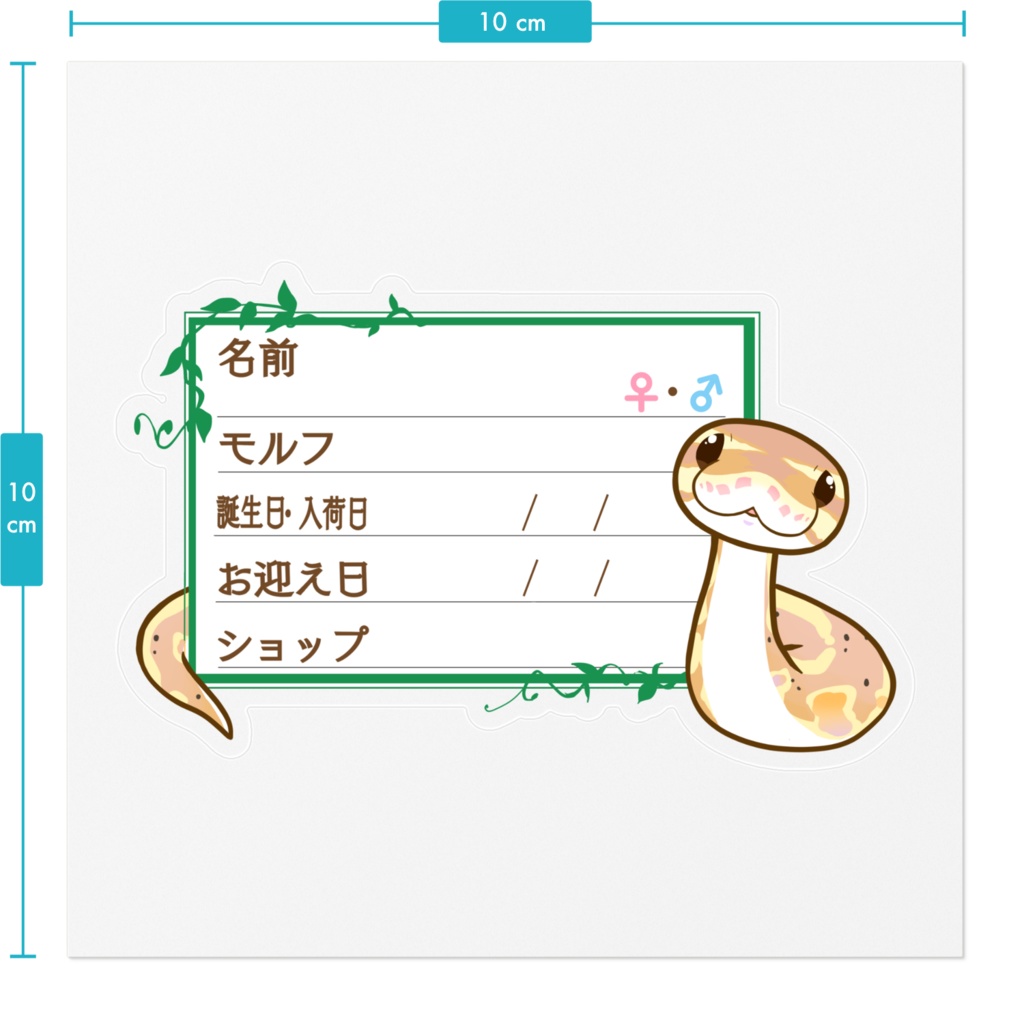 ใ๐ใๅๅในใใใซใผใๆ 11็จฎ้ก ใใผใซใใคใฝใณ(ใใใใใ)