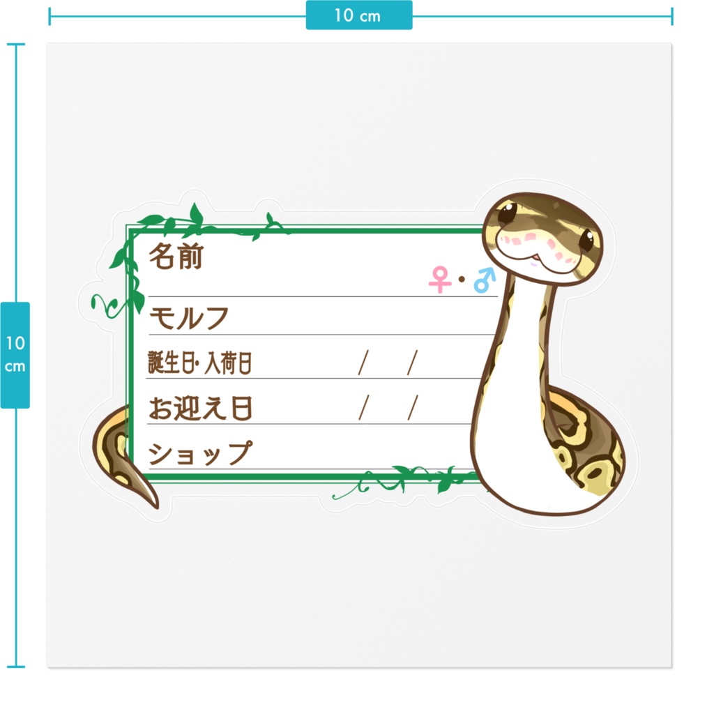 【🐍お名前ステッカー】枠11種類 ボールパイソン(ボンゴレッサー)