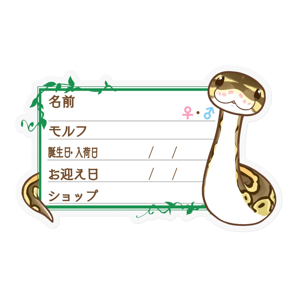 【🐍お名前ステッカー】枠11種類 ボールパイソン(ボンゴレッサー)