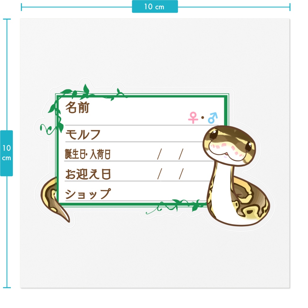 【🐍お名前ステッカー】枠11種類 ボールパイソン(ボンゴレッサーミニ)