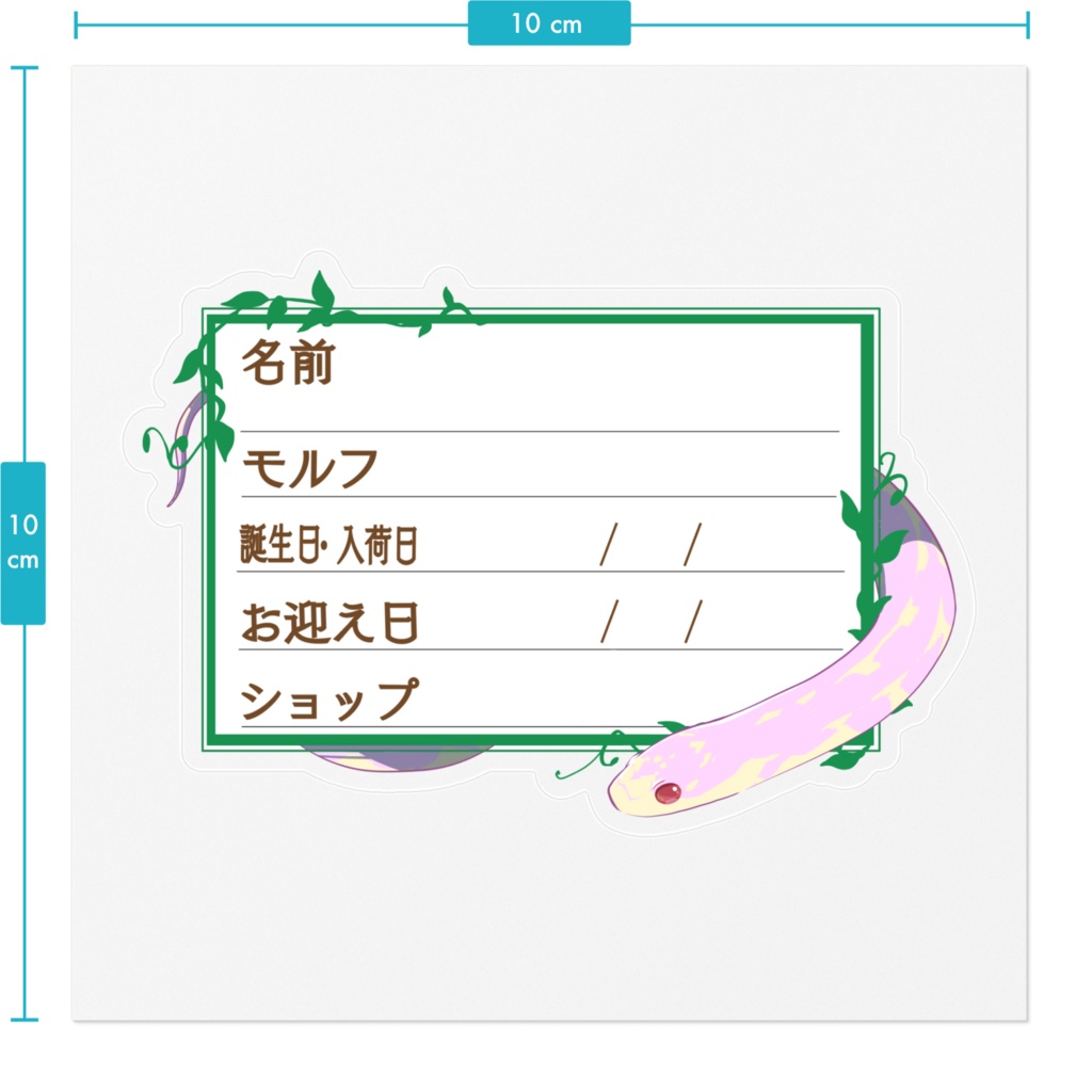 【🐍お名前ステッカー】枠11種類 カリキン(アルビノアベラント)
