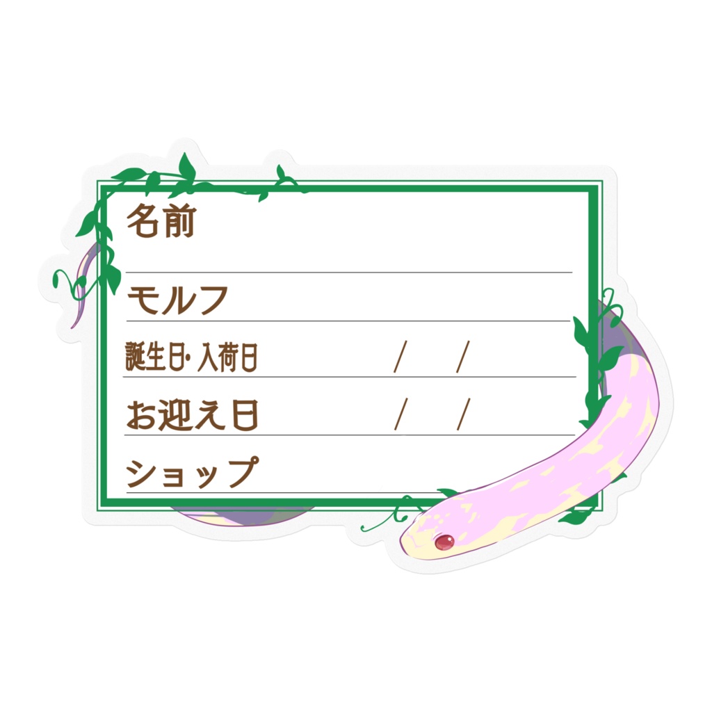 【🐍お名前ステッカー】枠11種類 カリキン(アルビノアベラント)