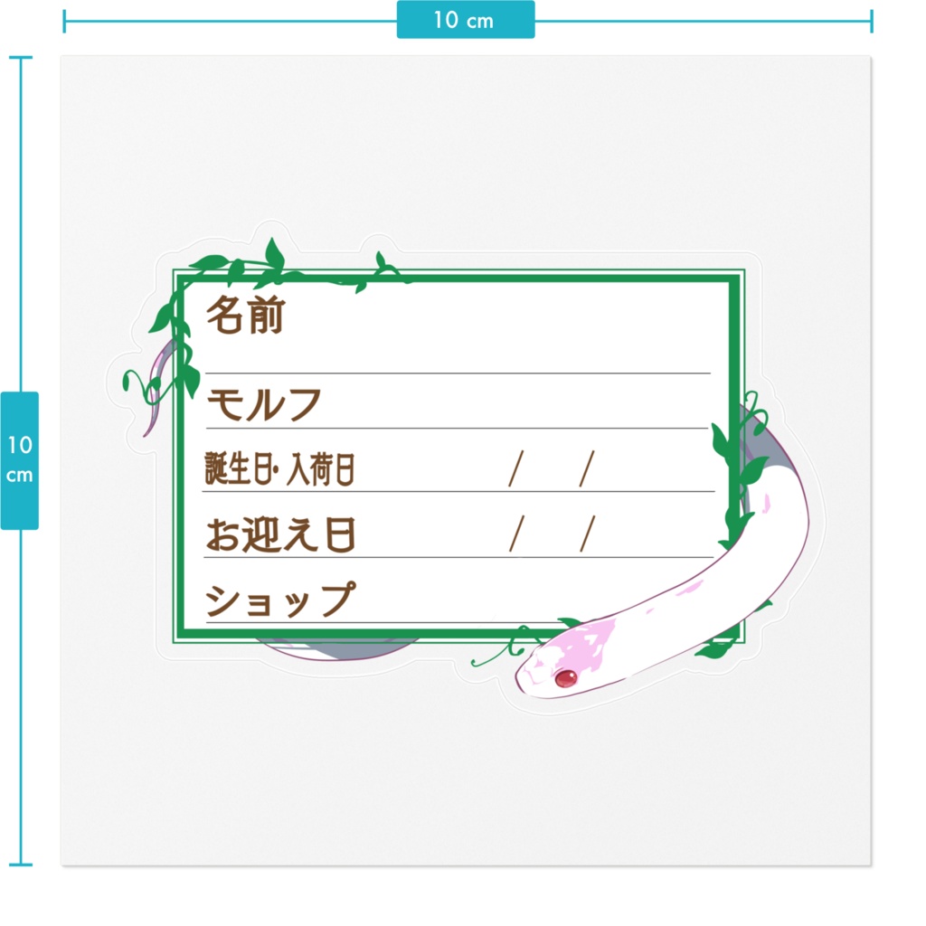 ãðãååã¹ããã«ãŒãæ 11çš®é¡ ã«ãªãã³(ã¢ã«ãããã€ãã¯ã€ã)