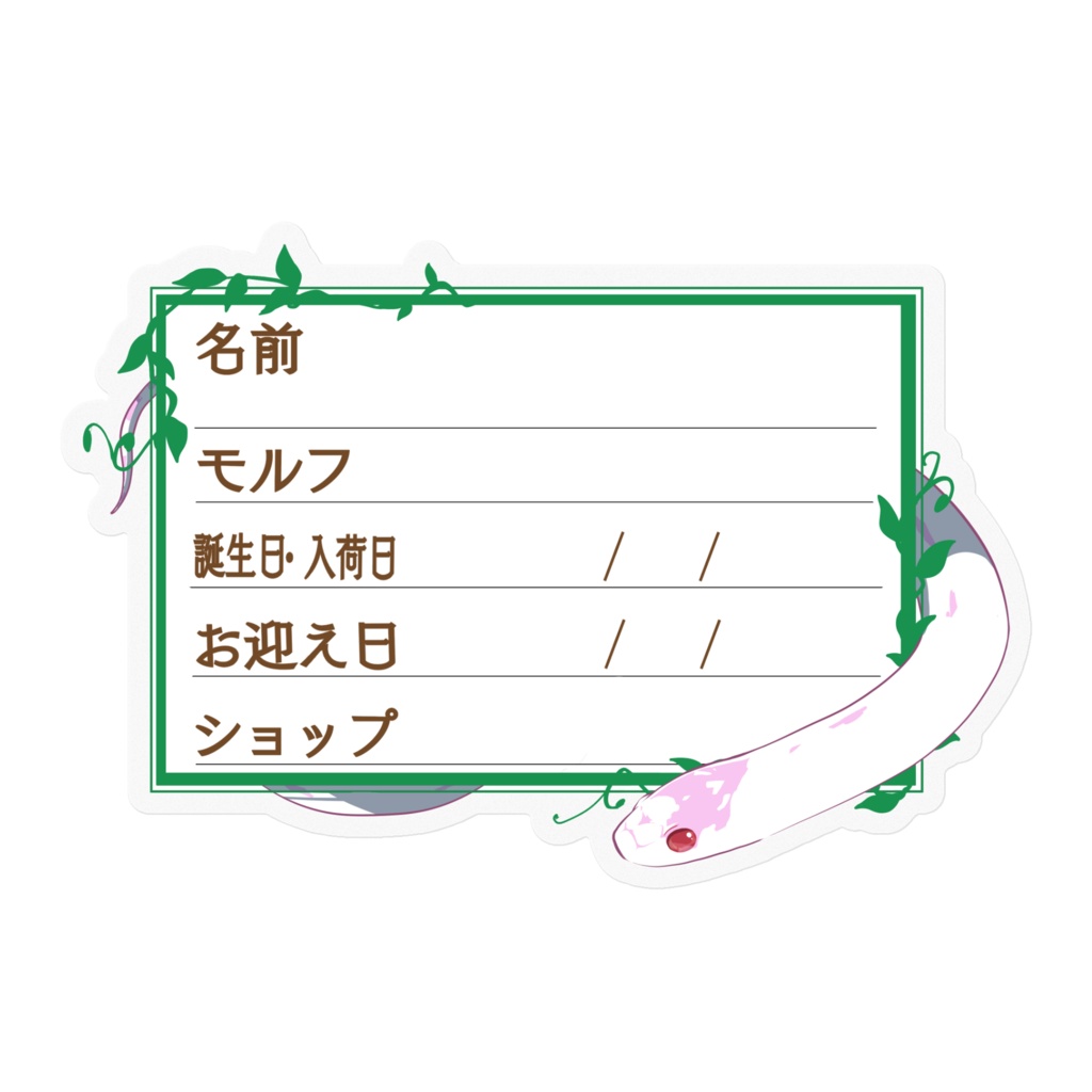【🐍お名前ステッカー】枠11種類 カリキン(アルビノハイホワイト)