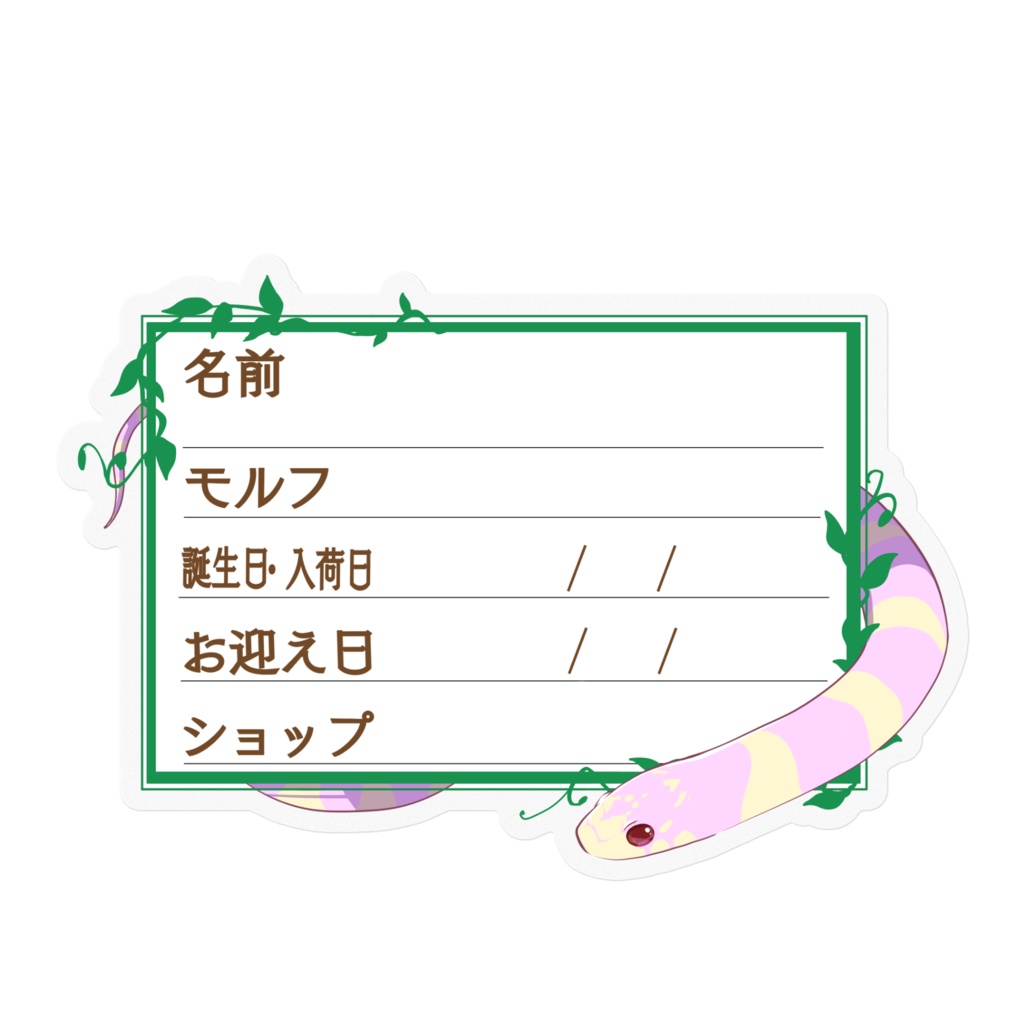 【🐍お名前ステッカー】枠11種類 カリキン(アルビノバンデット)