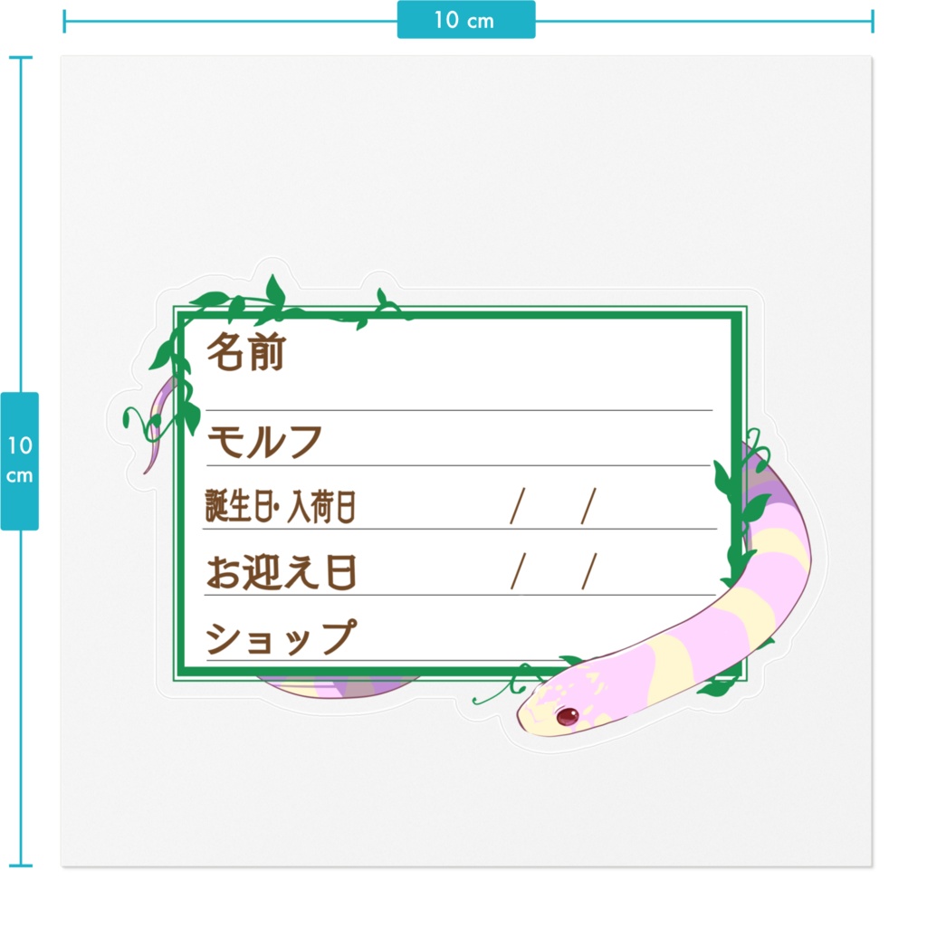 ใ๐ใๅๅในใใใซใผใๆ 11็จฎ้ก ใซใชใญใณ(ใขใซใใใใณใใใ)