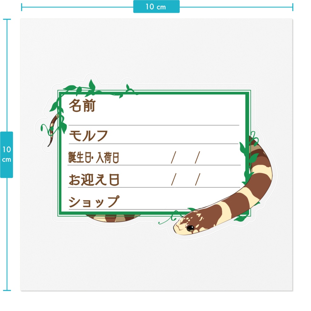 【🐍お名前ステッカー】枠11種類 カリキン(コースタルバンデット)