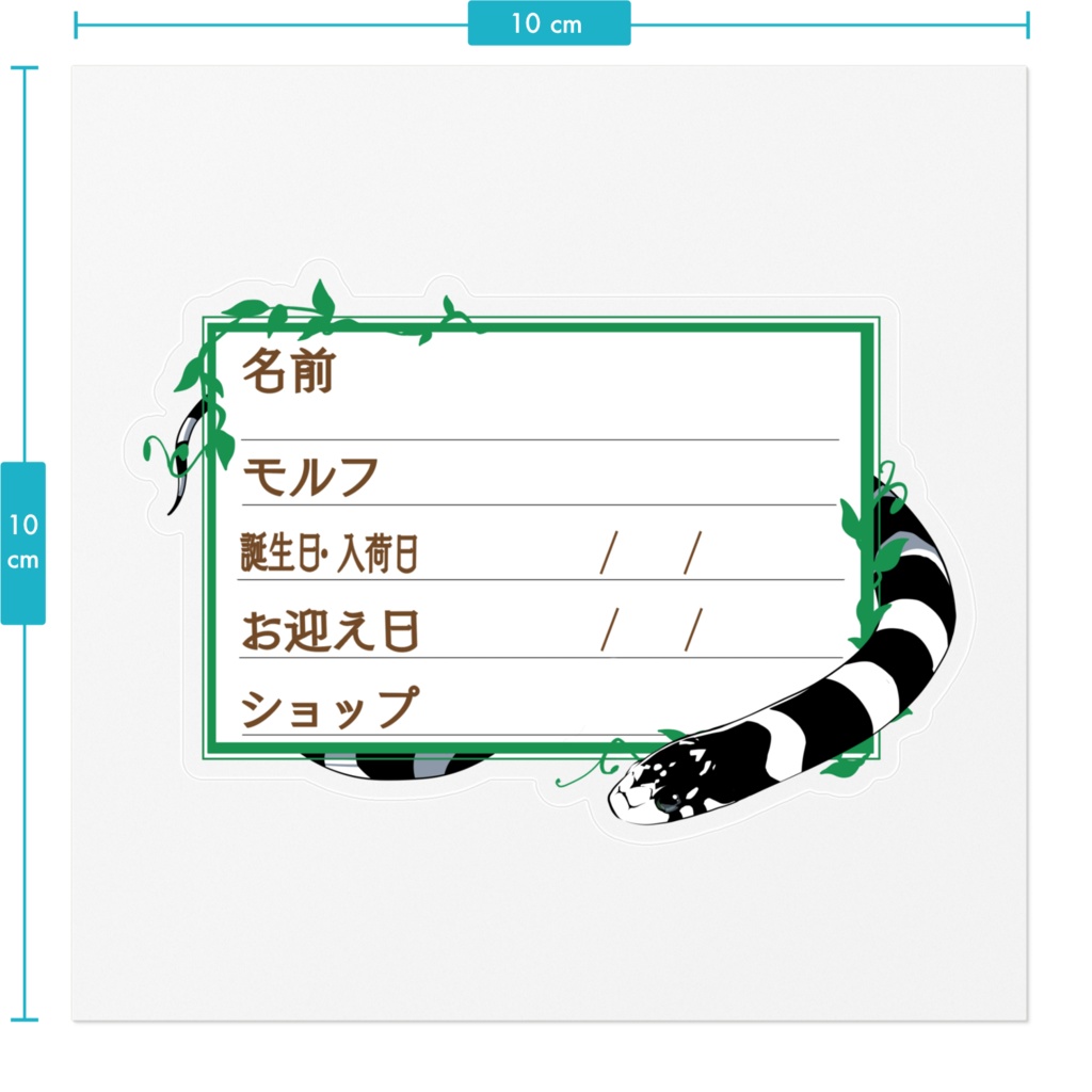 ใ๐ใๅๅในใใใซใผใๆ 11็จฎ้ก ใซใชใญใณ(ใใถใผใใใณใใใ)