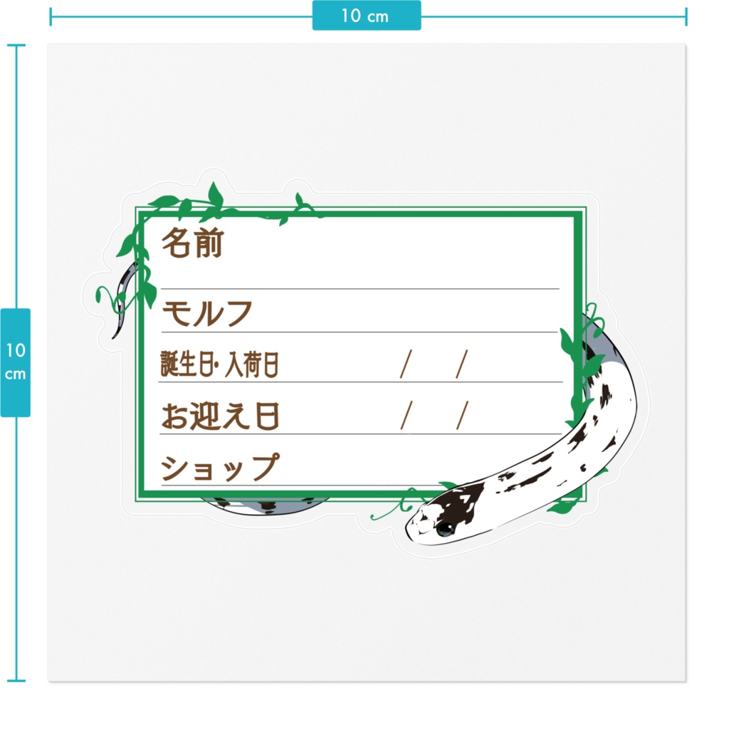 【🐍お名前ステッカー】枠11種類 カリキン(ハイホワイト)