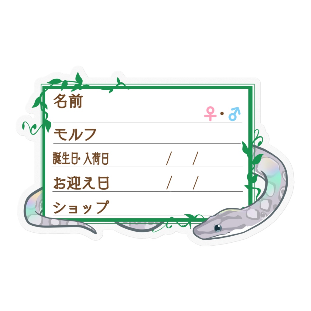 【🐍お名前ステッカー】枠11種類 コロニジ(アザン)