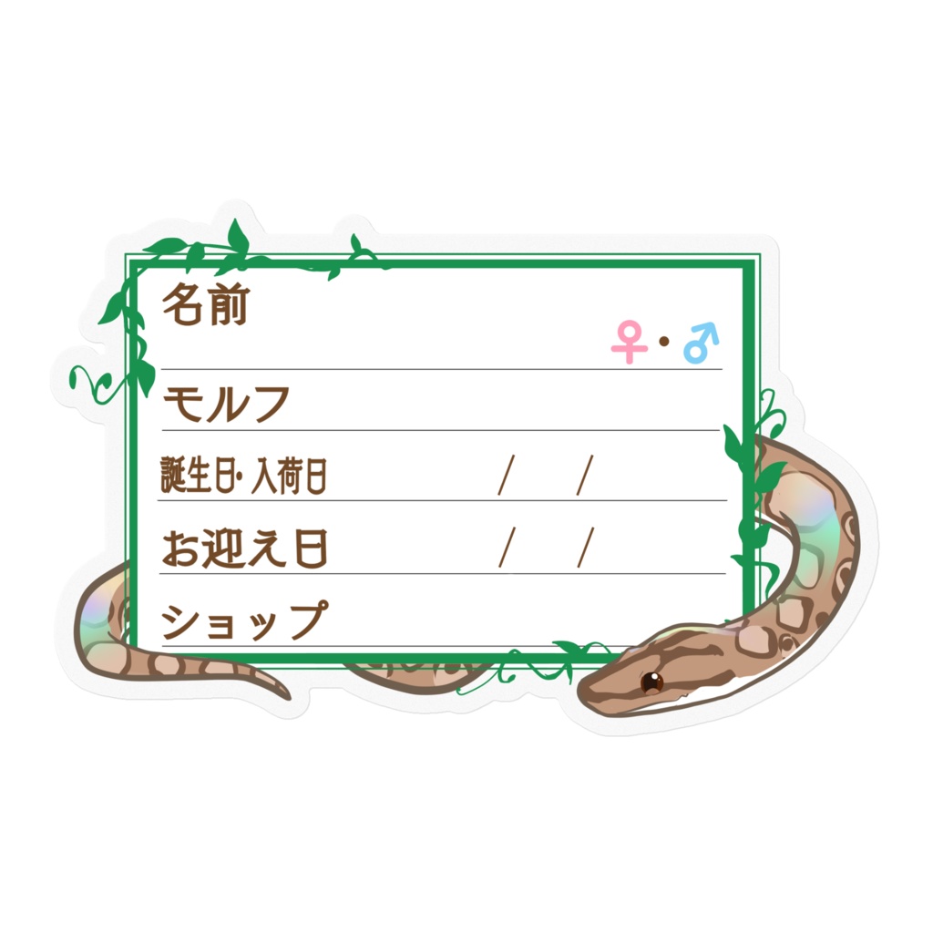 【🐍お名前ステッカー】枠11種類 コロニジ(ノーマル)