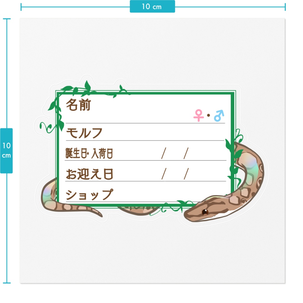 【🐍お名前ステッカー】枠11種類 コロニジ(ノーマル)