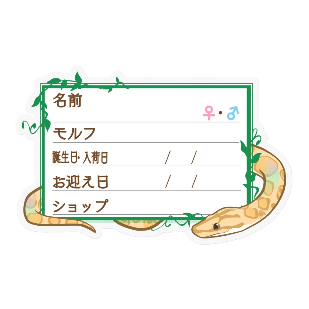 【🐍お名前ステッカー】枠11種類 コロニジ(パラディグマ)