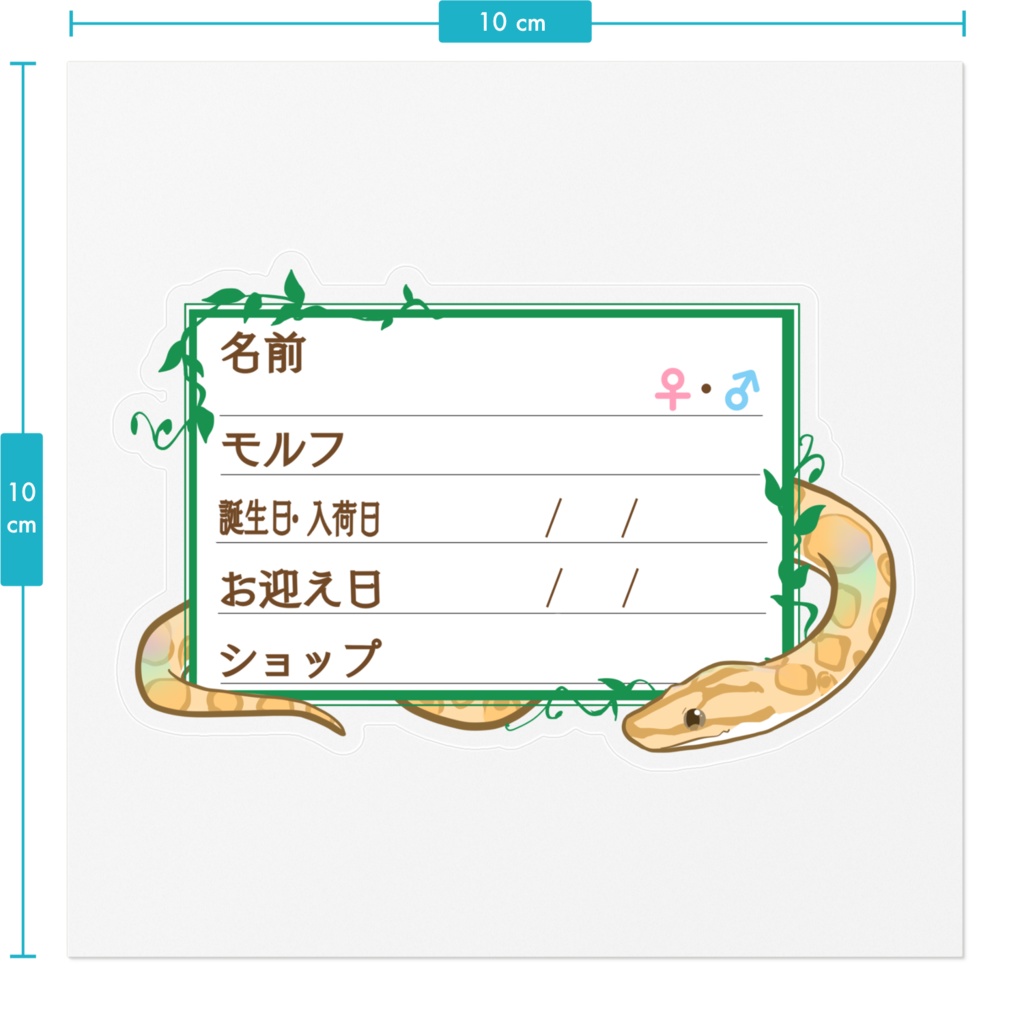 【🐍お名前ステッカー】枠11種類 コロニジ(パラディグマ)