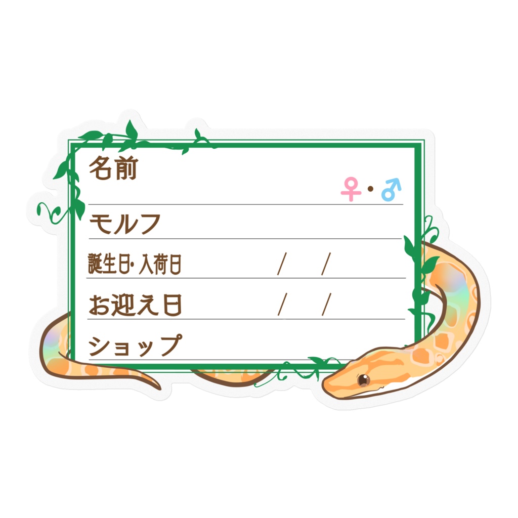 【🐍お名前ステッカー】枠11種類 ブラニジ(アルビノ)