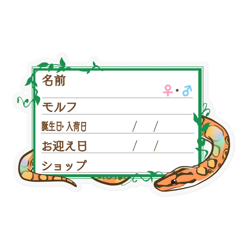 【🐍お名前ステッカー】枠11種類 ブラニジ(ノーマル)