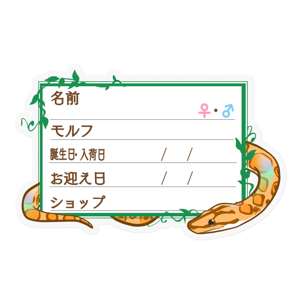 ใ๐ใๅๅในใใใซใผใๆ 11็จฎ้ก ใใฉใใธ(ใใคใ)