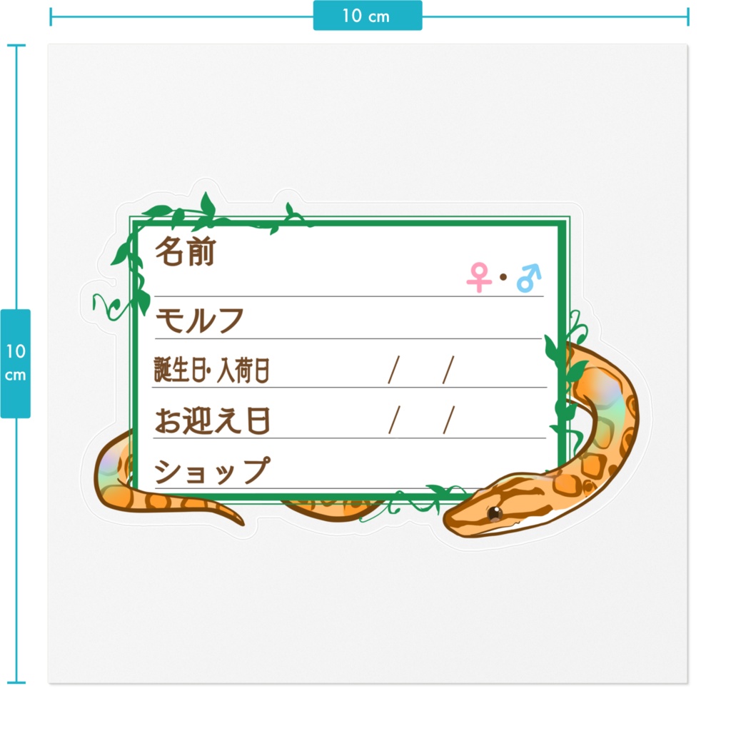 ใ๐ใๅๅในใใใซใผใๆ 11็จฎ้ก ใใฉใใธ(ใใคใ)