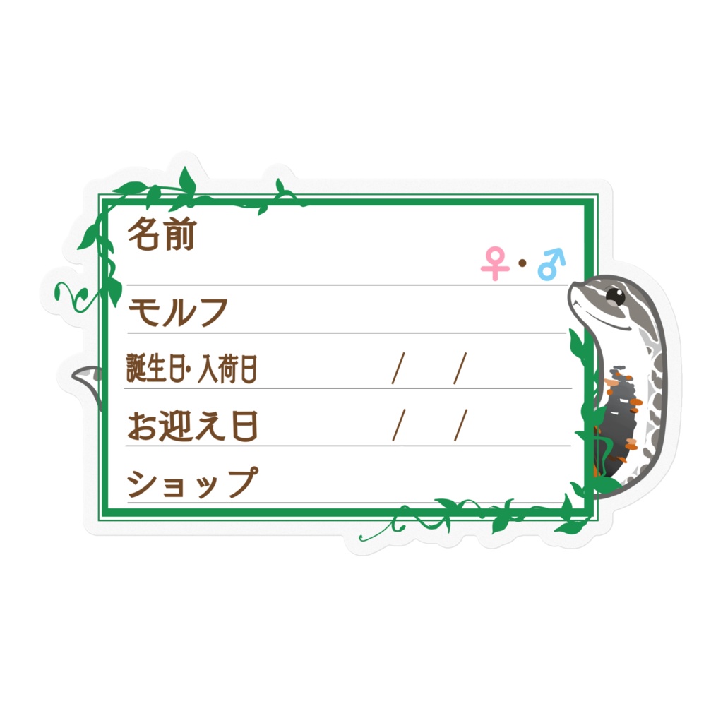 【🐍お名前ステッカー】枠11種類 シシバナ(アークティック)