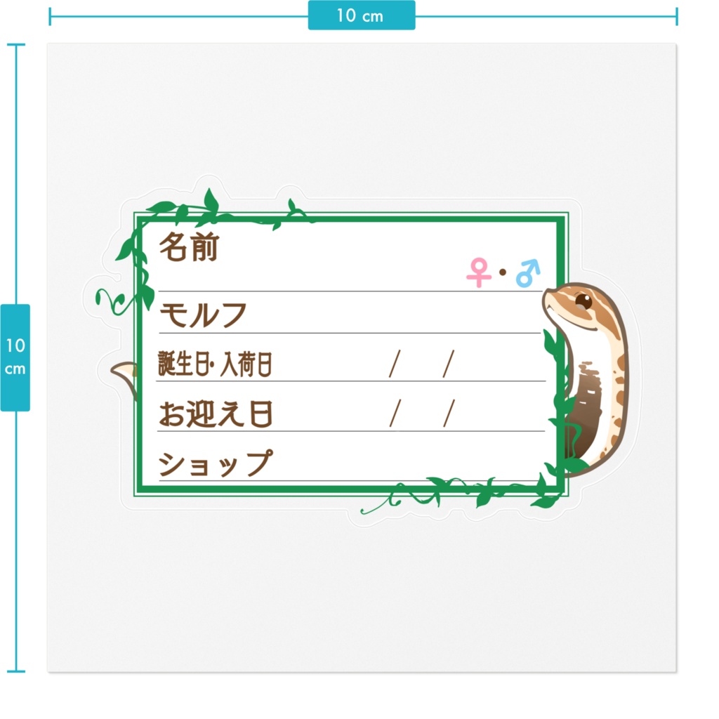 ใ๐ใๅๅในใใใซใผใๆ 11็จฎ้ก ใทใทใใ(ใขใใณใณใ)