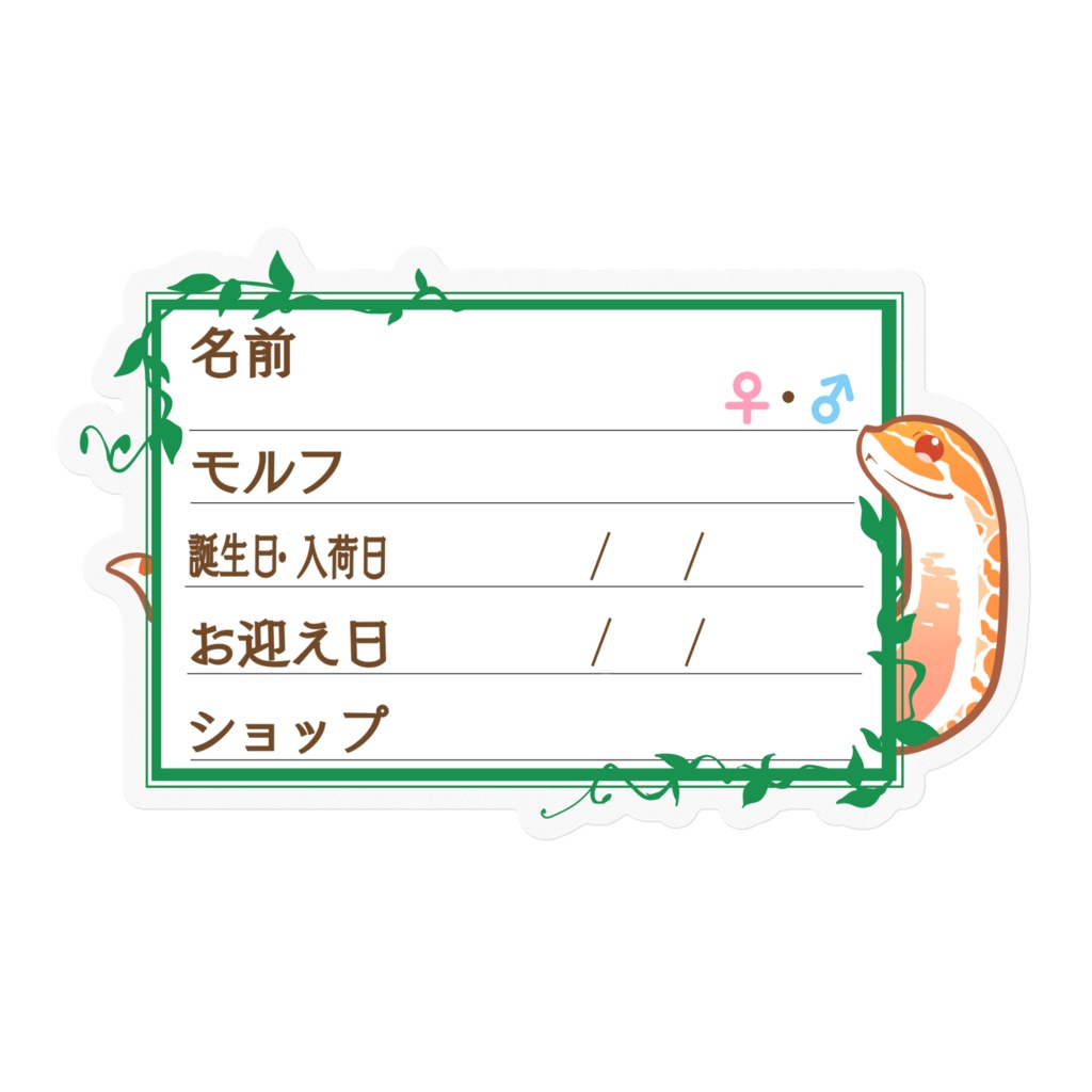 【🐍お名前ステッカー】枠11種類 シシバナ(アルビノ)