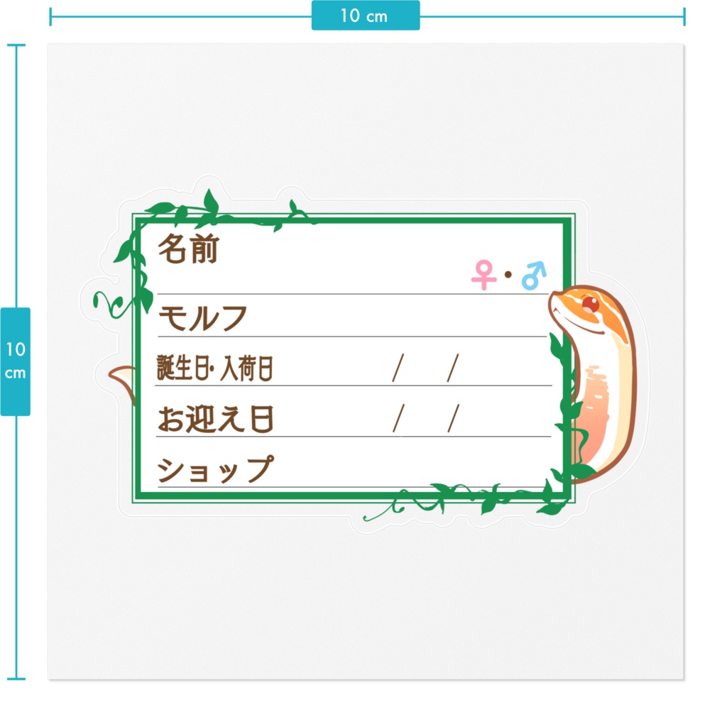 【🐍お名前ステッカー】枠11種類 シシバナ(アルビノスーパーコンダ)
