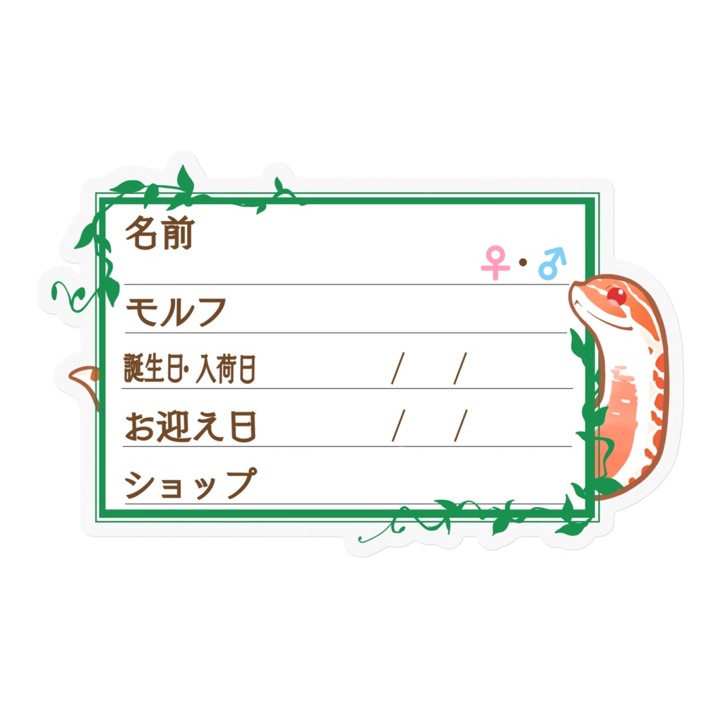 【🐍お名前ステッカー】枠11種類 シシバナ(エクストリームレッドアルビノ)