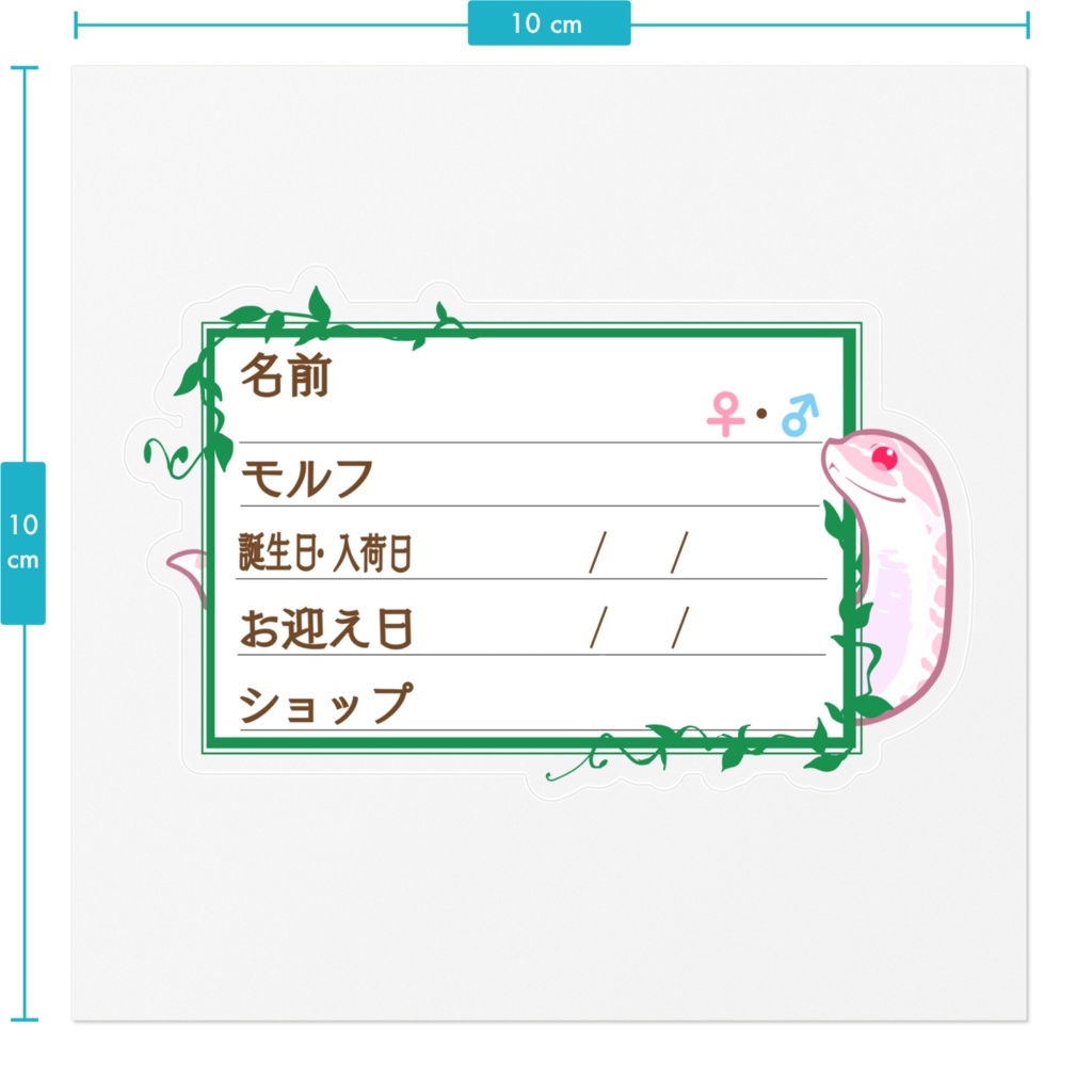 ใ๐ใๅๅในใใใซใผใๆ 11็จฎ้ก ใทใทใใ(ในใใผ)