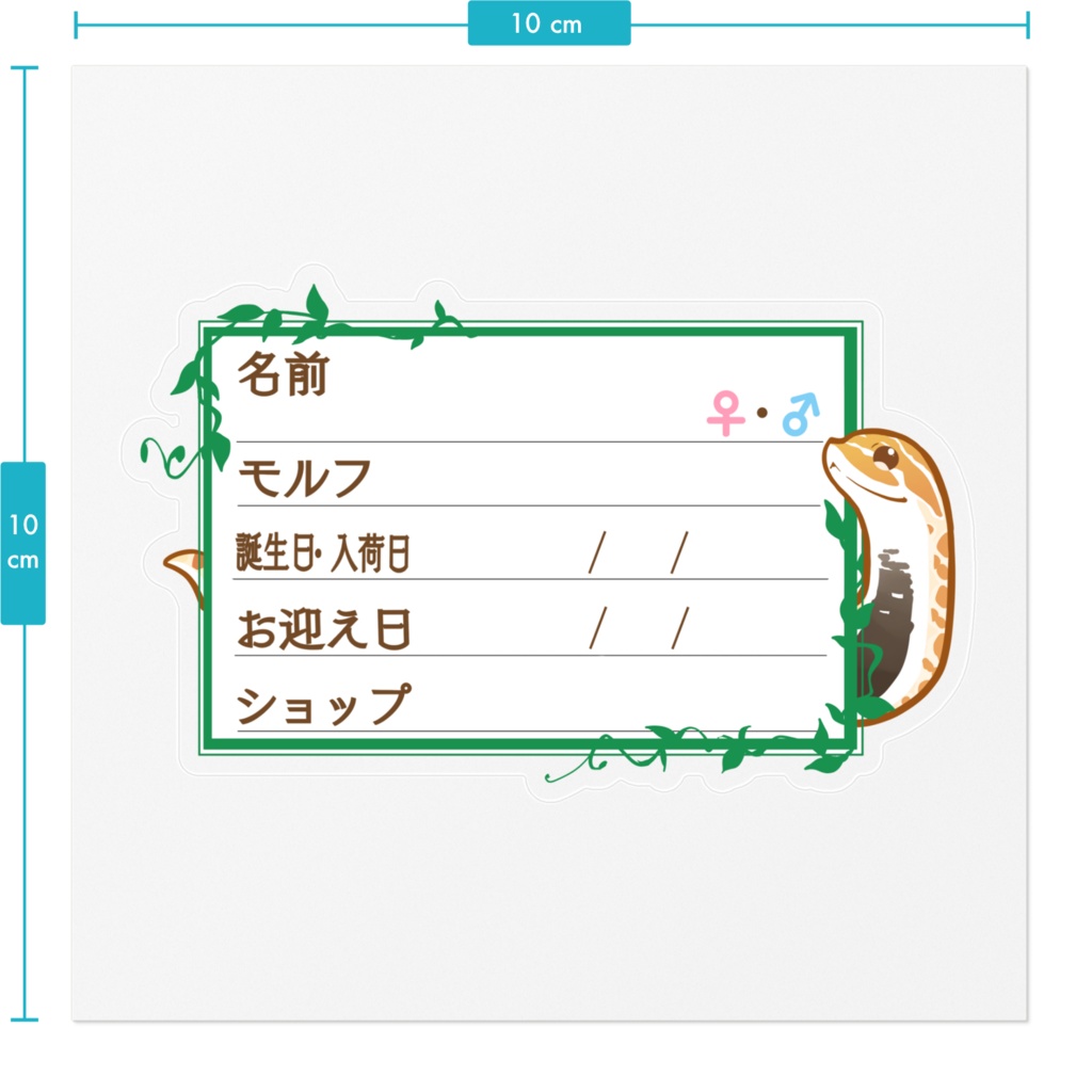 ใ๐ใๅๅในใใใซใผใๆ 11็จฎ้ก ใทใทใใ(ใฟใใฃ)