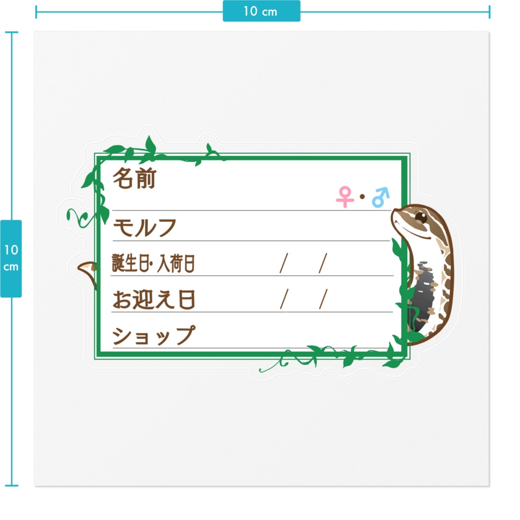 ใ๐ใๅๅในใใใซใผใๆ 11็จฎ้ก ใทใทใใ(ใใผใใซ)