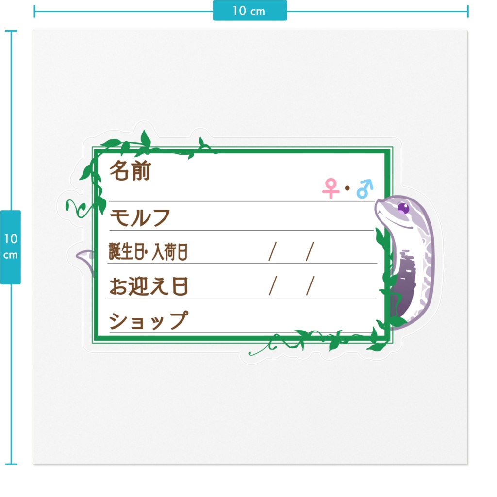 ใ๐ใๅๅในใใใซใผใๆ 11็จฎ้ก ใทใทใใ(ใฉใใณใใผ)